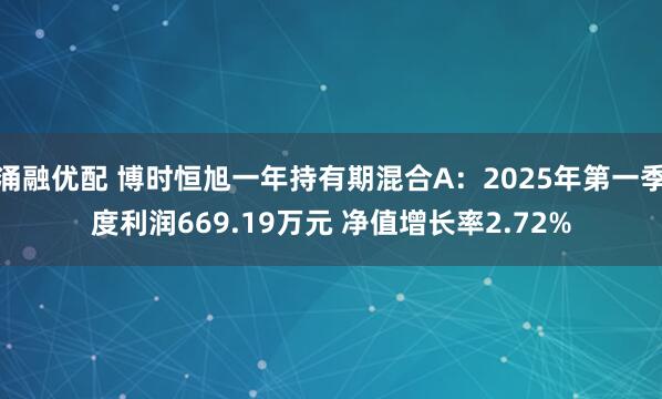 涌融优配 博时恒旭一年持有期混合A：2025年第一季度利润669.19万元 净值增长率2.72%