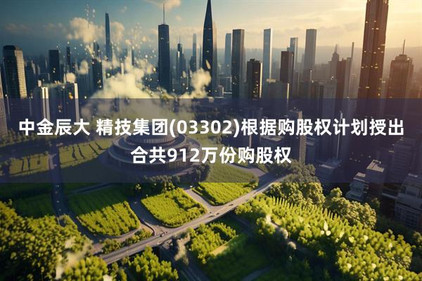 中金辰大 精技集团(03302)根据购股权计划授出合共912万份购股权