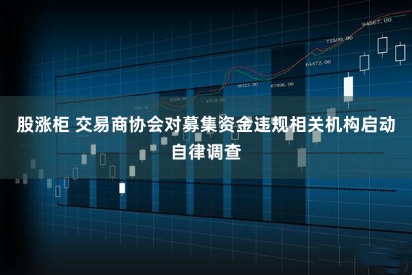 股涨柜 交易商协会对募集资金违规相关机构启动自律调查