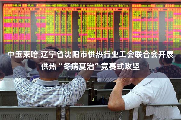 中玉束哈 辽宁省沈阳市供热行业工会联合会开展供热“冬病夏治”竞赛式攻坚