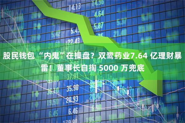 股民钱包 “内鬼”在操盘？双鹭药业7.64 亿理财暴雷！董事长自掏 5000 万兜底